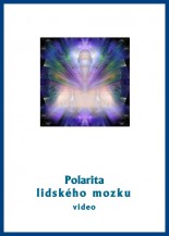 cast25-polarita-lidskeho-mozku-r.jpg