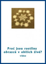 proc-jsou-rostliny-obrazcu-v-obilich-zive.jpg